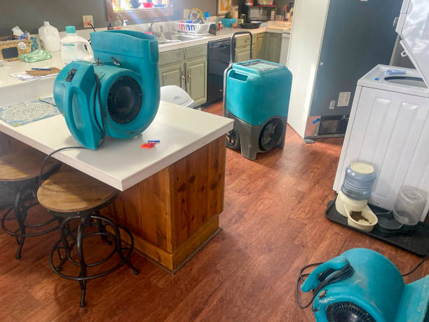 Best Local water damage restoration  in Eureka, IL