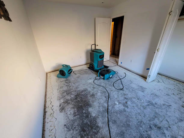 Best Water damage cleanup near me  in Eureka, IL