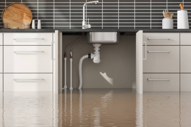 Best Water damage restoration mold remediation  in Eureka, IL