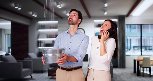 Best Fire Damage Restoration  in Eureka, IL
